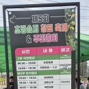 스틸텅드럼교실 이미지