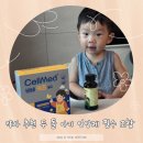 셀메드자연약국 | 약사 추천 두 돌 아기 영양제 필수 조합, 셀메드 비바키즈골드 + 시아플렉스 에프 키즈 시럽
