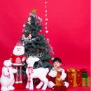 유진상가 개방화장실 | 평택 셀프스튜디오 다비스튜디오 사진관 크리스마스 아기사진 기념일 촬영 후기