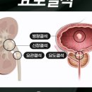 메디라움의원 이미지