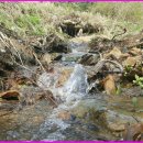 전원오토캠핑장 이미지