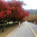 (주)에코트론 이미지