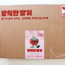 발칙한토스트 이미지