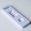 웰니스클리닉청계천점