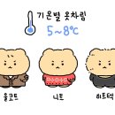 [망그러진 곰] 망곰이 OOTD 이미지