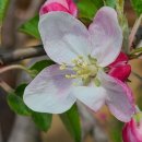 한국체대 킴스태권도장 이미지