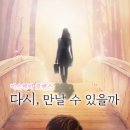 이스케이프시티