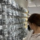 DM 시스템 | 해곰이랑 경주여행 2탄 / 황리단길, 경주박물관, 맛집, 카페 추천