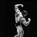 현대보디빌딩 이미지