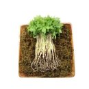 뿌리식당 이미지