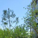 중앙동106 이미지