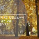 창세기 49:22~33 야곱의 축복, 마지막 <b>유언</b>