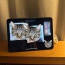 (주)코리아세븐 인천부평문화로점 | [공지] 6월 조각조각 모음집