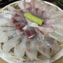 회뜨는아지야 이미지