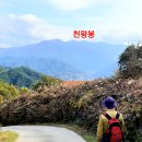 상순이 쉼터 이미지