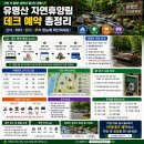 국립유명산자연휴양림 3야영장 공중화장실 | 유명산 자연휴양림 데크 예약, 크기·위치·전기·주차 총정리