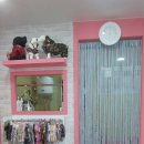 개 이쁘개 이미지