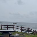 성산519 | 뚜벅이 여행 :: 용문이오름, 비자림, 다랑쉬오름, 우도, 성산일출봉 프릳츠, 이호테우해수욕장, 카페...