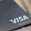 VISA24 이미지