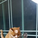 산호수농장 이미지