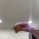 포미슈가링 이미지