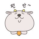 문경흑염소 이미지