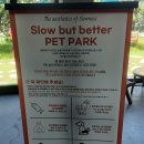 슬로우벗베럴 티스토리