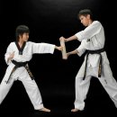 영진태권도 이미지