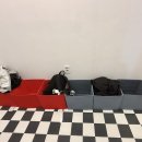 향동어린이1(흙내음) 화장실 | 경기도 고양 덕양구 아이와 가기 좋은 고양이카페 다색냥, 실내데이트 추천