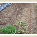 한울농장 이미지