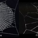 커피캐스트 이미지