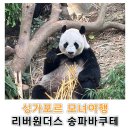 히트 관광나이트 | [싱가포르 1일차] 리버원더스 완전정복｜판다존·공연·송파바쿠테까지 모녀여행 코스