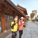 (231207)경수산악회 인제 원대리 자작나무숲길 트레킹