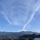 구례공용주차장 이미지