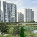 콜리송천점 이미지