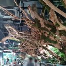아마존수족관 - 연제구 월드컵대로 17 | 일산에 있는 아쿠아가든 카페, 수족관 카페 후기