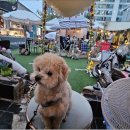 멍마르뜨 이미지