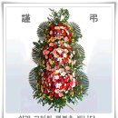 영월 금호정 이미지