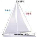 방당쥬 - 15691 | 방당쥬
