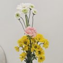 그꽃카페 | 부천 꽃바구니 주문 꽃집, 부천역 그순간꽃 내돈내산 후기