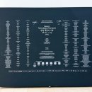 시립미술관 서소문본관 | 서울시립미술관 서소문 본관 / 강령: 영혼의 기술 전시 관람 후기