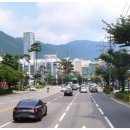 진해탑약국 이미지