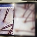 탕탕 노래연습장 이미지