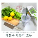 소다현대가든5 | 레몬수 만들기 효능 샐러리 레몬즙 섭취방법 스위치온다이어트 고양이집사 루틴