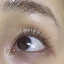 뷰티 앤 독 | [올영 추천템] 폰즈 립앤아이 리무버 후기