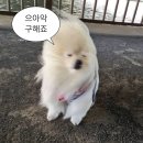 유담아 | 🇹🇼 타이베이(台北市) 3 : 예스폭지 투어