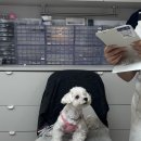 항상봄처럼 스튜디오 | 봄네일은 핑크 못참아요! 서면 네일샵 스튜디오플럼 가격, 위치, 후기