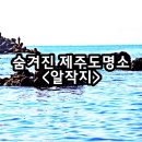 금앤옥통나무팬션 | 제주도숨은명소 금능으뜸원해변&amp;알작지