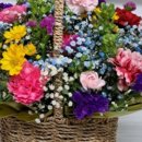 참사랑의료기 이미지