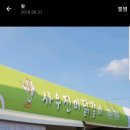 사우진미닭갈비 네이버블로그